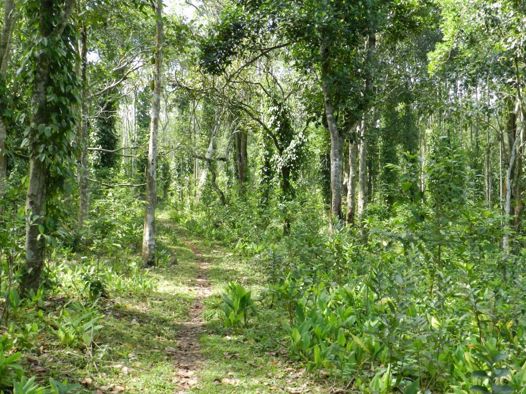 Elephant Valley Eco Farm Hotel Kodaikanal Exteriér fotografie
